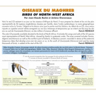 OISEAUX DU MAGHREB