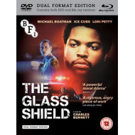 GLASS SHIELD