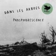 PHOSPHORENSENCE