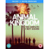 ANIMAL KINGDOM - SEASON 1