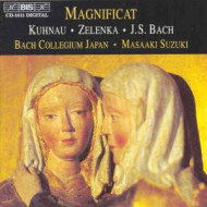 MAGNIFICAT IN C