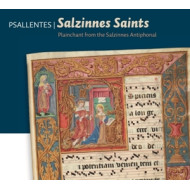 SALZINNES SAINTS