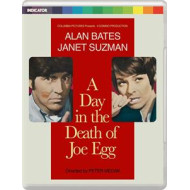 A DAY IN THE DEATH OF JOE EGG