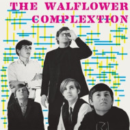 WALFLOWER COMPLEXION