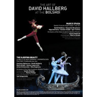 ART OF DAVID HALLBERG AT THE BOLSHOI