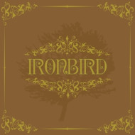 IRONBIRD