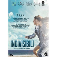 INDIVISIBILI