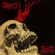 SLOW DEATH