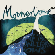 WHERE THE MOONLIGHT SNOWS