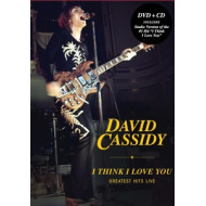 I THING I LOVE YOU: GREATEST HITS LIVE