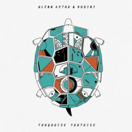 TURQUOISE TORTOISE