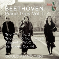 PIANO TRIOS VOL.1