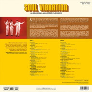 SOUL VIBRATION