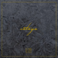 FIRN