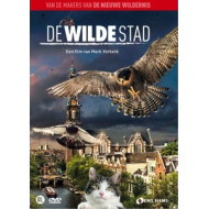 DE WILDE STAD