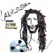 MEETS ROOTS RADICS - DUB FOR THE RADICALS