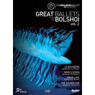 GREAT BALLETS FROM THE BOLSHOI VOL.2