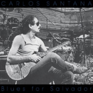 BLUES FOR SALVADOR