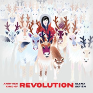 ANOTHER KIND OF REVOLUTION