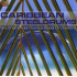 CARIBBEAN STEELDRUMS