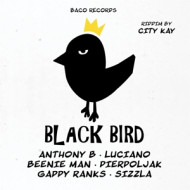 BLACK BIRD RIDDIM BY CITY KAY