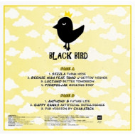 BLACK BIRD RIDDIM BY CITY KAY