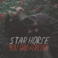 YOU SAID FOREVER