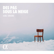 DES PAS SOUS LA NEIGE
