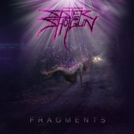 FRAGMENTS