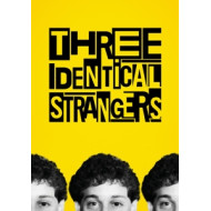 THREE IDENTICAL STRANGERS