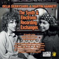 SYNTH AND ELECTRONIC RECORDING EXCHANGES