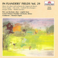 IN FLANDERS' FIELDS 29