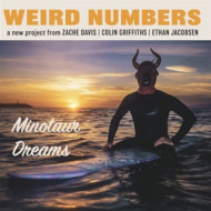 7-MINOTAUR DREAMS
