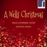 A WELLS CHRISTMAS