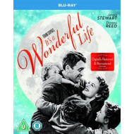 IT'S A WONDERFUL LIFE