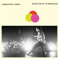 A BEAUTIFUL THING: IDLES LIVE AT LE BATACLAN