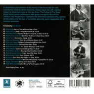 ROUGH GUIDE TO BLIND, BLACK & BLUE