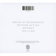 WAVES AT BOUNDARIES