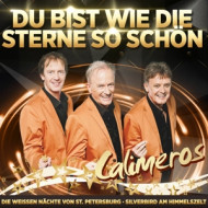 JAHRTAUSENDHITS - DU BIST WIE DIE STERNE SO SCHON
