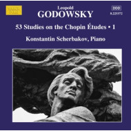 53 STUDIES ON THE CHOPIN ETUDES VOL.1