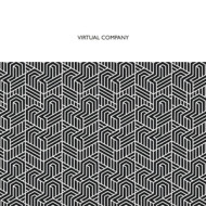 VIRTUAL COMPANY