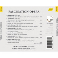 FASCINATION OPERA - A VIRTUOSO FIREWORK OF FANTASIES AN