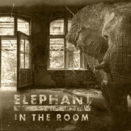 ELEPHANT IN THE ROOM