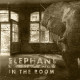 ELEPHANT IN THE ROOM<br/><h5>Megjelenés: 2020-08-07</h5>