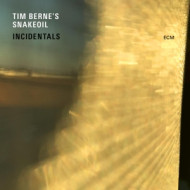 INCIDENTALS