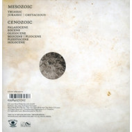 PHANEROZOIC II: MESOZOIC/CENOZ