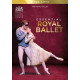 ESSENTIAL ROYAL BALLET<br/><h5>Megjelenés: 2020-09-25</h5>