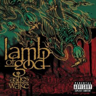 Ashes Of The Wake