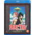FAIRY TAIL: COLLECTION 5