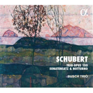 SCHUBERT: TRIO OPUS 100, SONATENSATZ & NOTTURNO